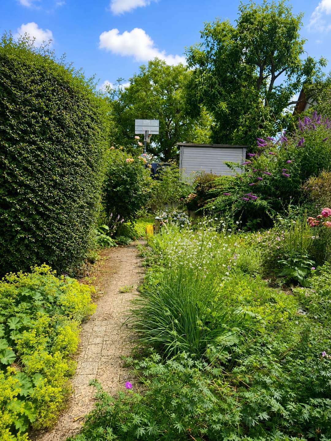 Gartenplateau